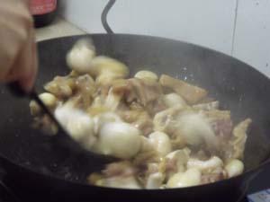 ��Ģ����������