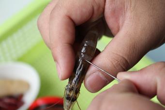 东北靠大虾的做法