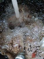 ��ͥ������±ţ�������