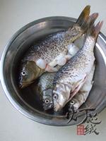 �������������