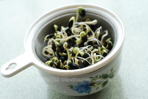 ���ƻ������㶹ѿ��������