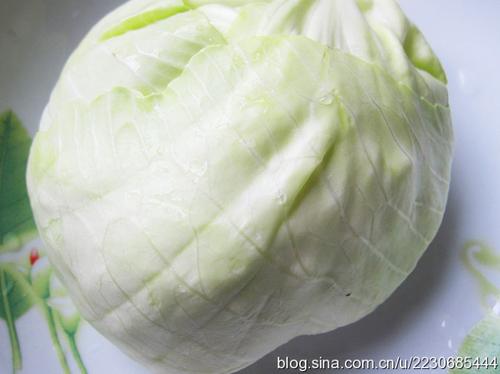 ��������˿������