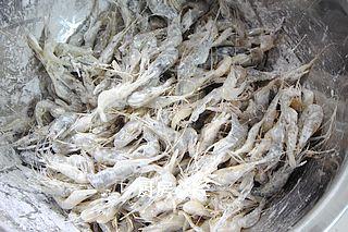 ����С��Ϻ������