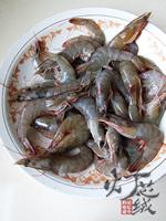 ��Ϻ�ɵ�����