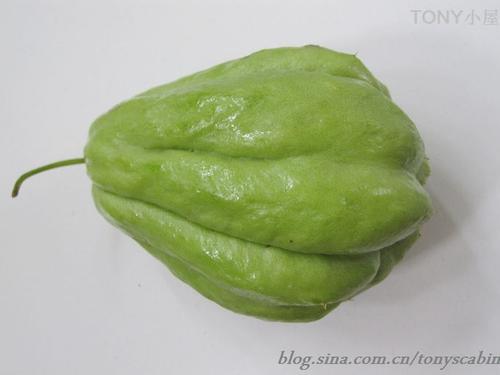 ���ܲ������ֹϵ�����