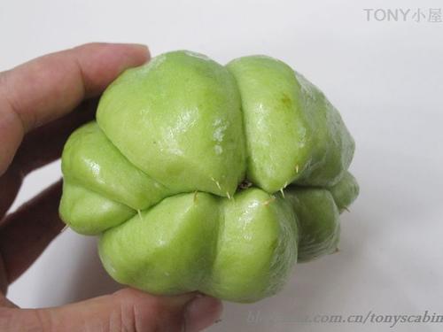 ���ܲ������ֹϵ�����