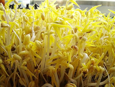 ���������̶�ѿ������