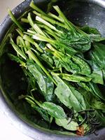 �ȱ��貤�˵�����