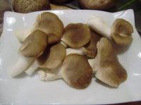 ���°��������������