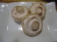 ���°��������������