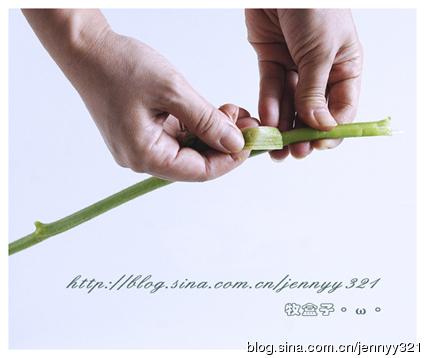 ���س��Ϲ��������