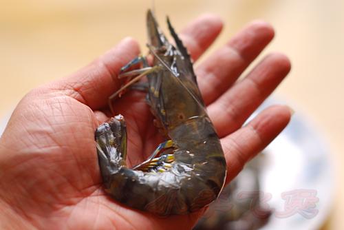 ���г��Ž�Ϻ������