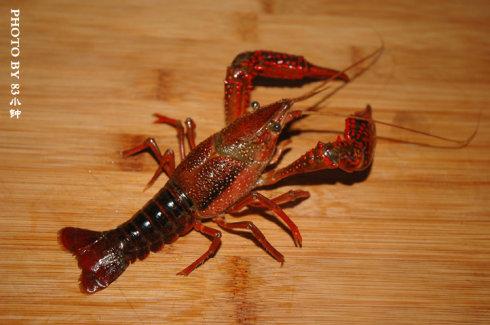 ˮ��С��Ϻ������