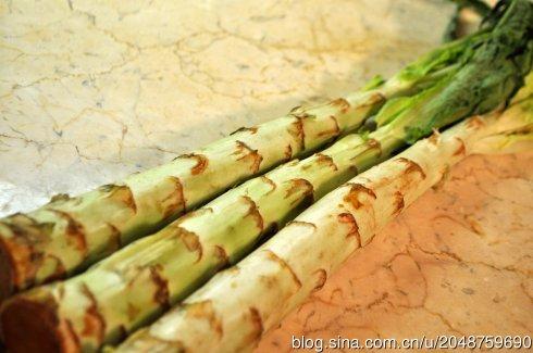 ����ݫ��˿������