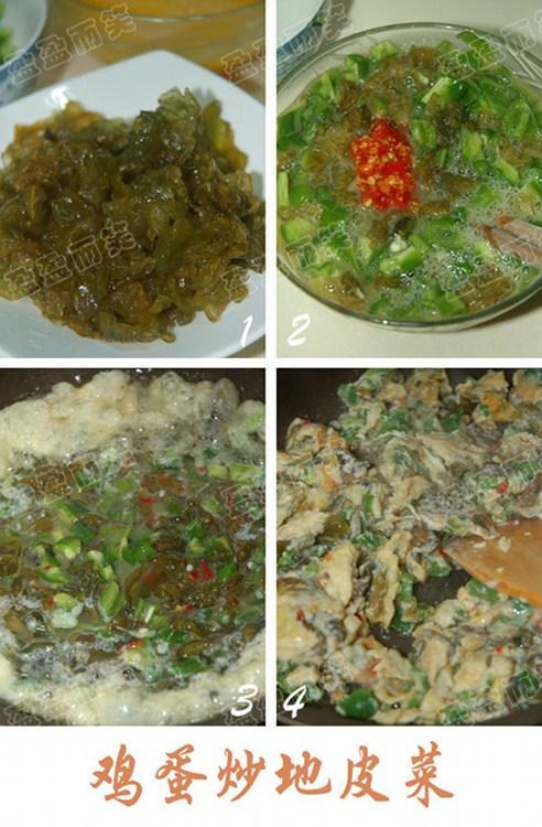 ��������Ƥ�˵�����