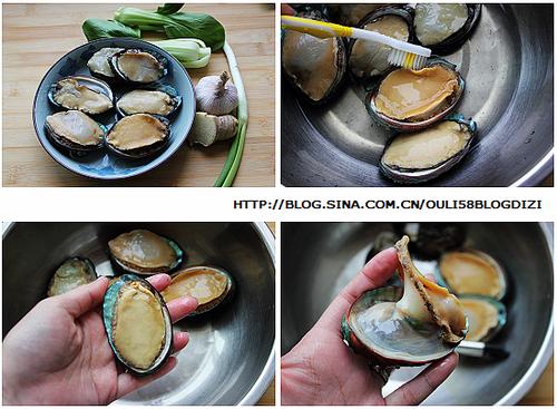 ��֭�Ǳ��������