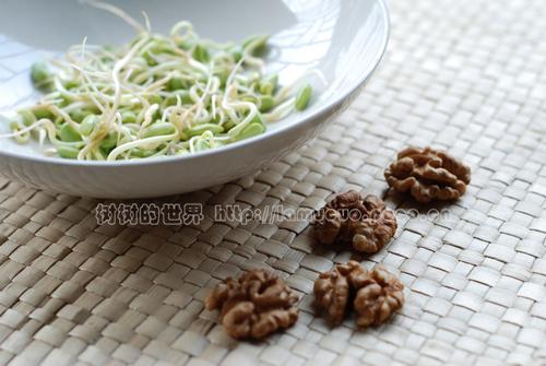 �ڶ�ѿ������������