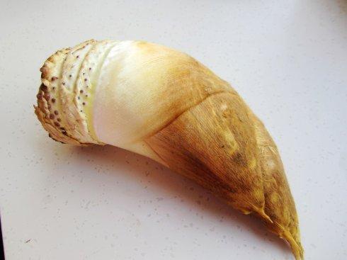 �������˴�������������