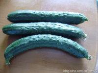 �Ǵװ�ƹϵ�����