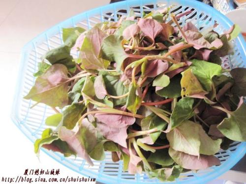 �����۶���������