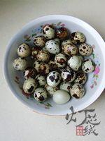 �ݽ����ȵ�������