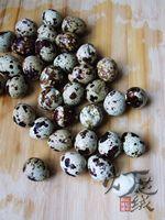 �ݽ����ȵ�������