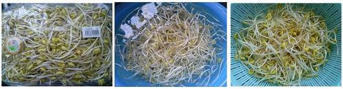 ˱ָˮ��Ϻ������