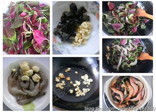 ��ϺƤ���Ȳ��ҵ�����