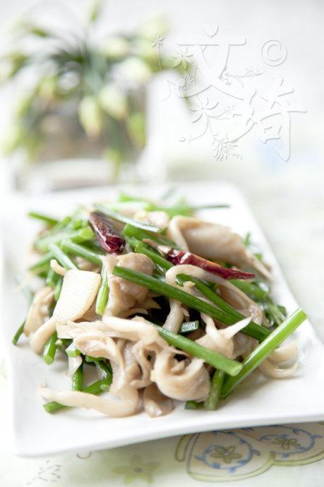 ƽ������̦������