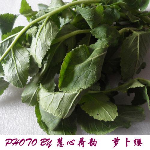 �����ܲ�ӧ������