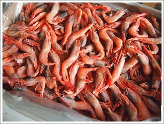 �ɹ�����Ϻ������