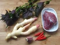 �ӽ����ճ�ţ�������