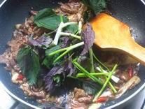 �ӽ����ճ�ţ�������