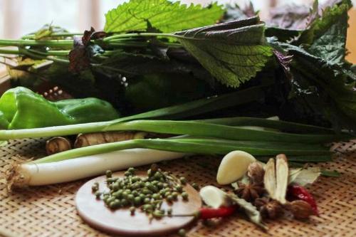 ����Ϻ�������