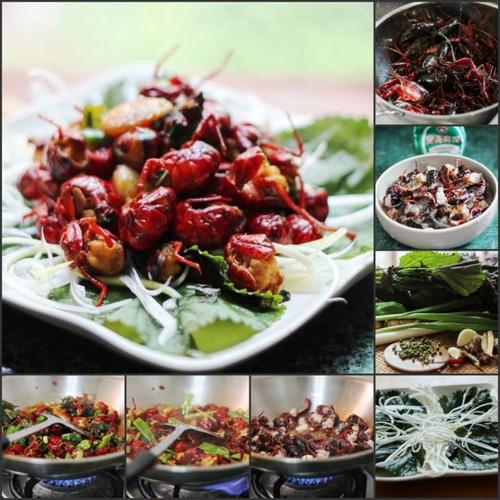 ����Ϻ�������