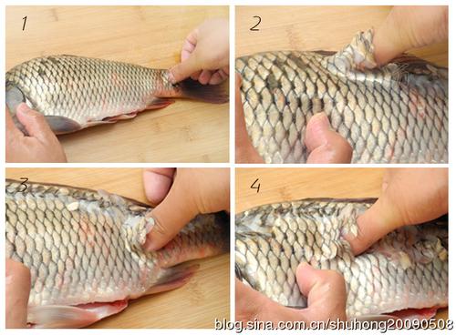 ���۶�������