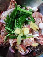 ��ݻ�������������