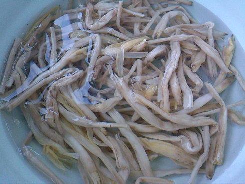 �����������ƻ�������