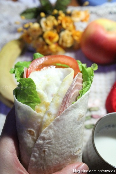 火腿鸡蛋卷 火腿鸡蛋卷的做法