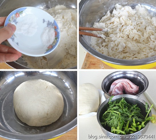 茼蒿鲜肉大馄饨 茼蒿鲜肉大馄饨的做法