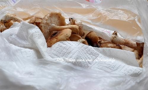 ±ζĢ���߲��������