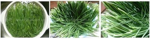 �²��������ȵ�����