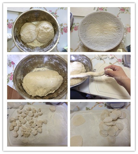 茴香鸡蛋水饺 茴香鸡蛋水饺的做法