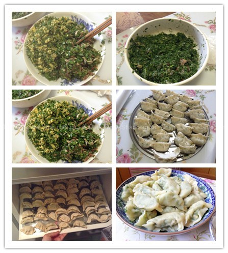 茴香鸡蛋水饺 茴香鸡蛋水饺的做法