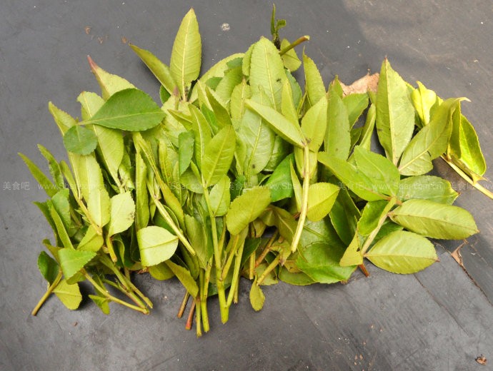 ����Ҷ���������