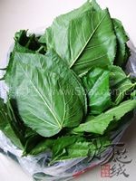 ɣҶ���ӵ�����