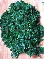 ɣҶ���ӵ�����