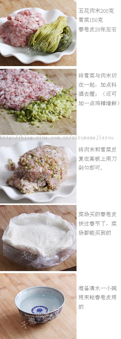 雪菜鲜肉春卷 雪菜鲜肉春卷的做法