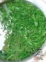 ���˷�����ӵ�����