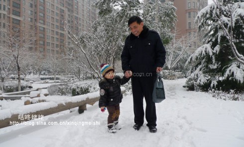 茴香苗素水饺 茴香苗素水饺的做法